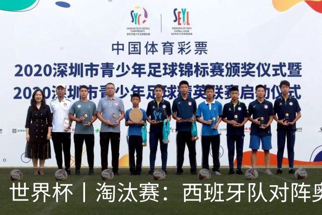世界杯丨淘汰赛：西班牙队对阵奥地利队